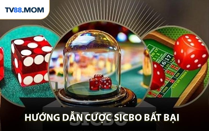 Hướng dẫn cược Sicbo bất bại cho bet thủ